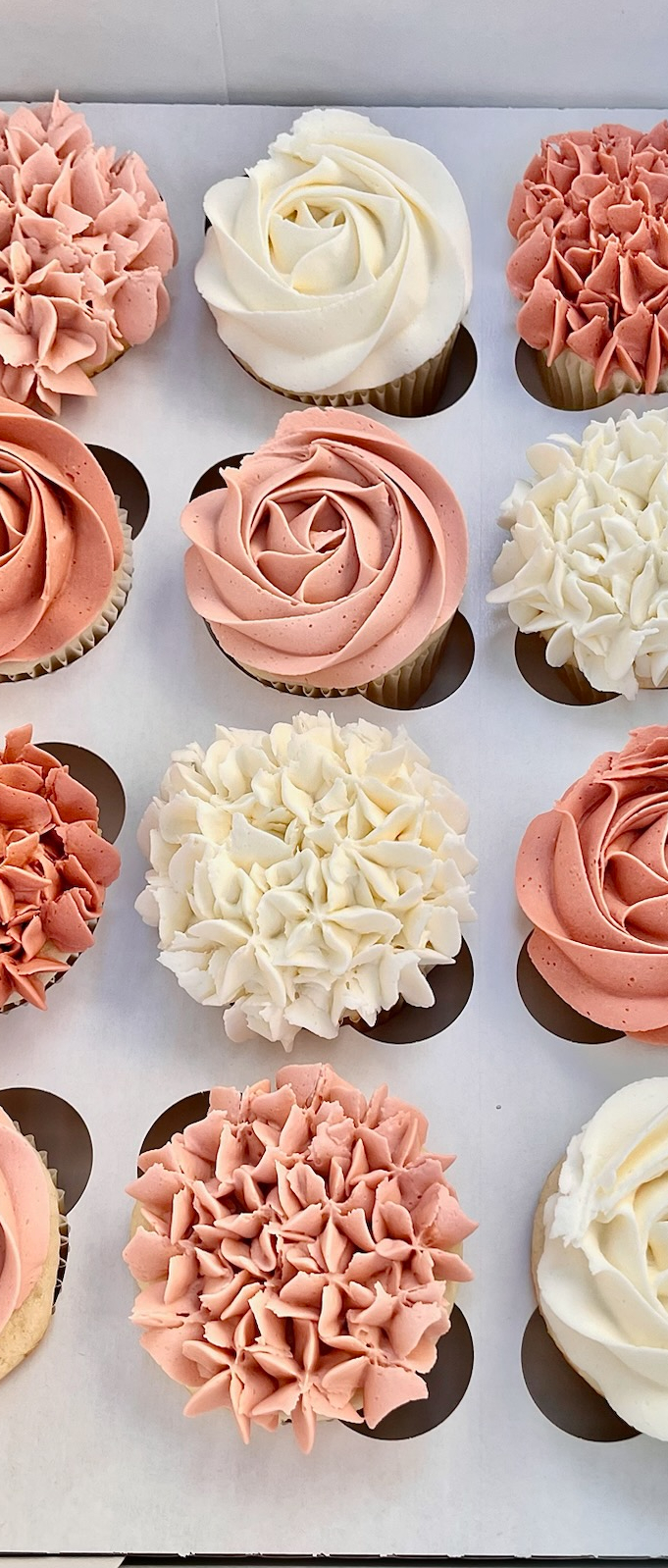 a picture of cupcakes